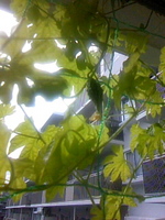 TS3M0335.jpg