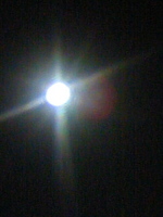 TS3M0364.jpg